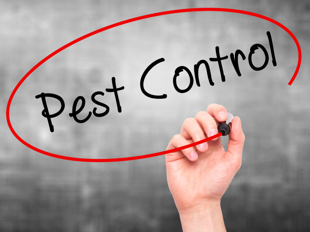 San Antonio, Tx Pest Control