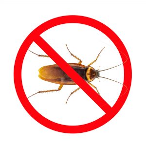 roach control san antonio